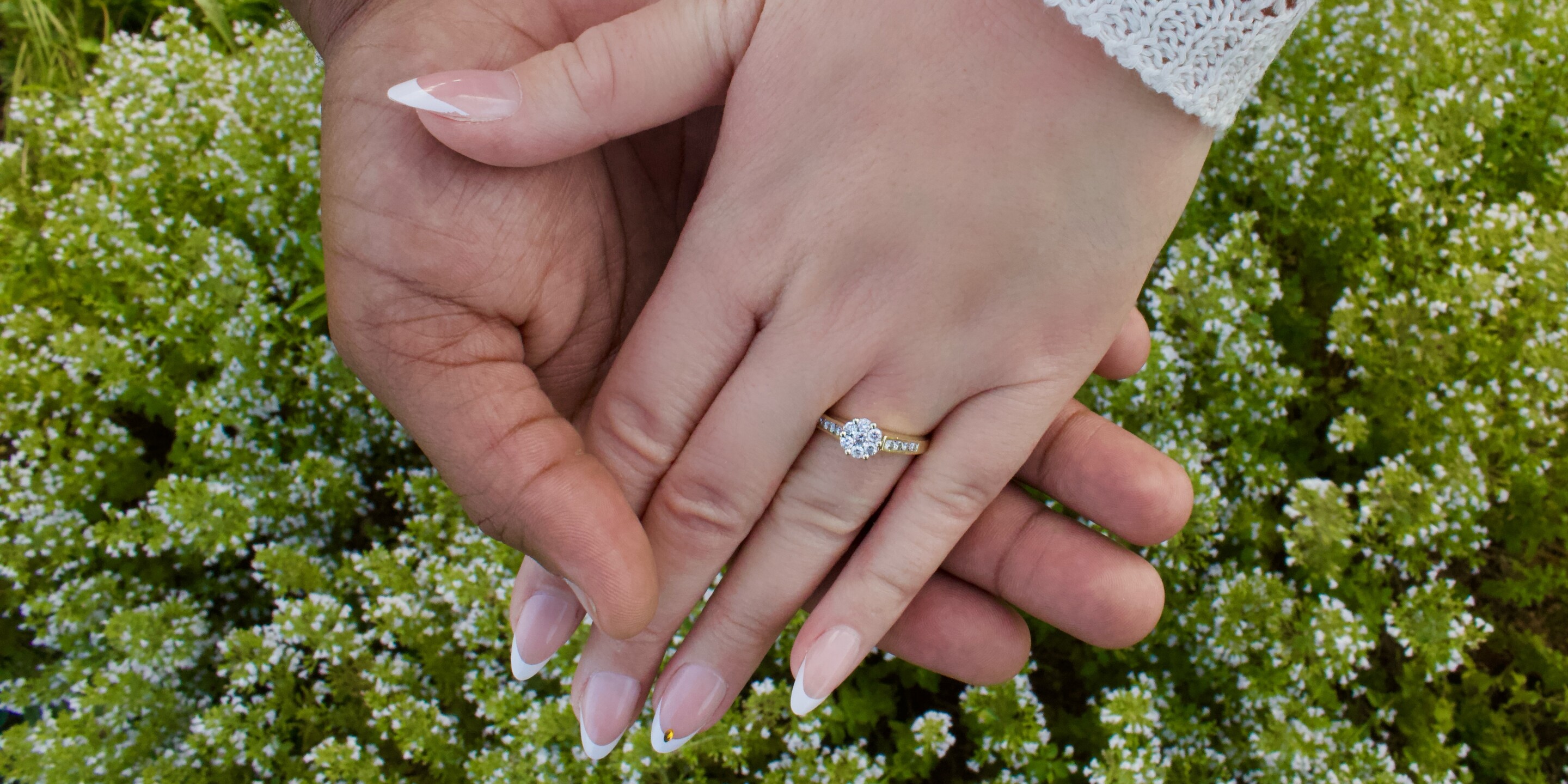 Arianna & Demetrius Home Page Banner