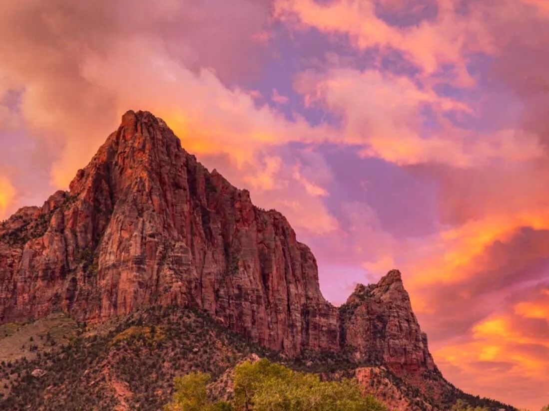 Picture of Zion National Park