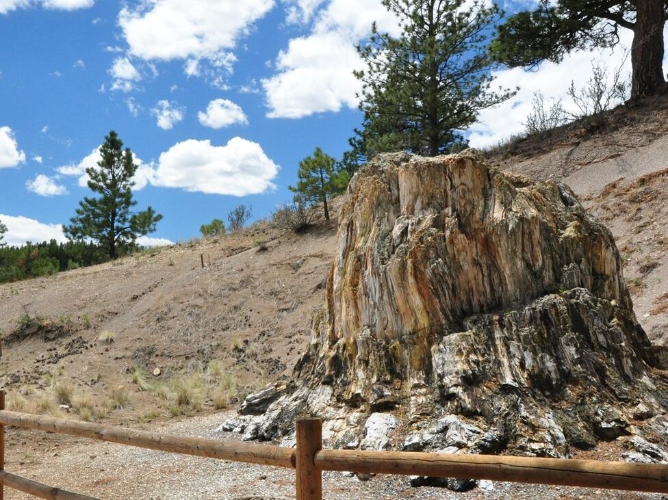 Picture of Florissant Fossil Beds National Monument