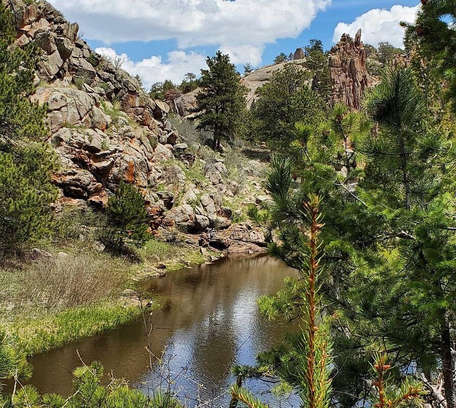 Picture of Curt Gowdy State Park 
