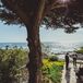 "The wedding was held in Carmel, California," says Carol. "It’s where we took our first vacation together and it’s one of my favorite places in the world. It’s so intimate and terribly romantic with those beautiful beaches and waves crashing on cliffs."