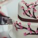 Cutting Ivory Cake With Branches