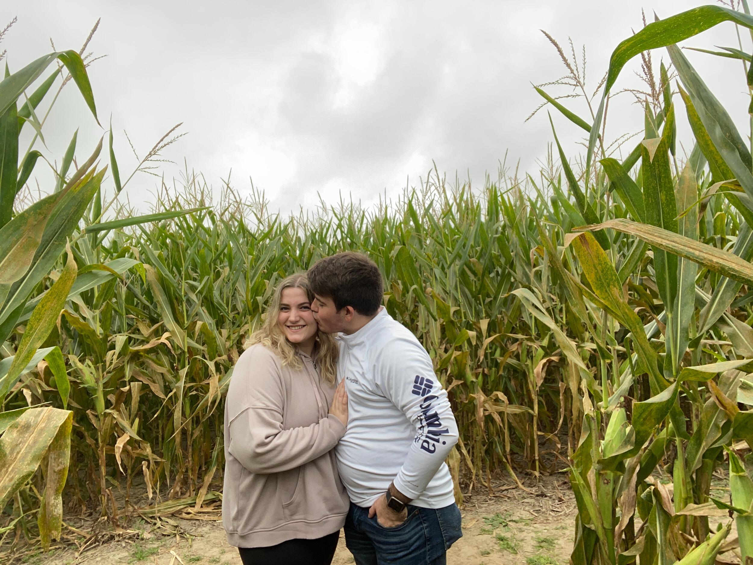 Shryocks Corn Maze