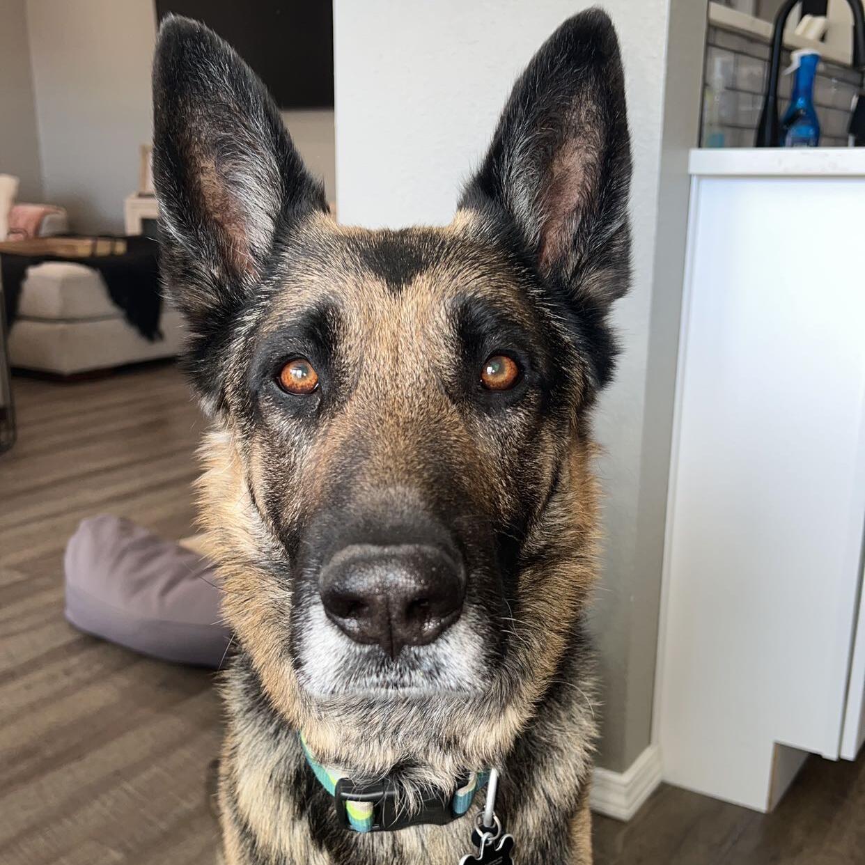 Milo