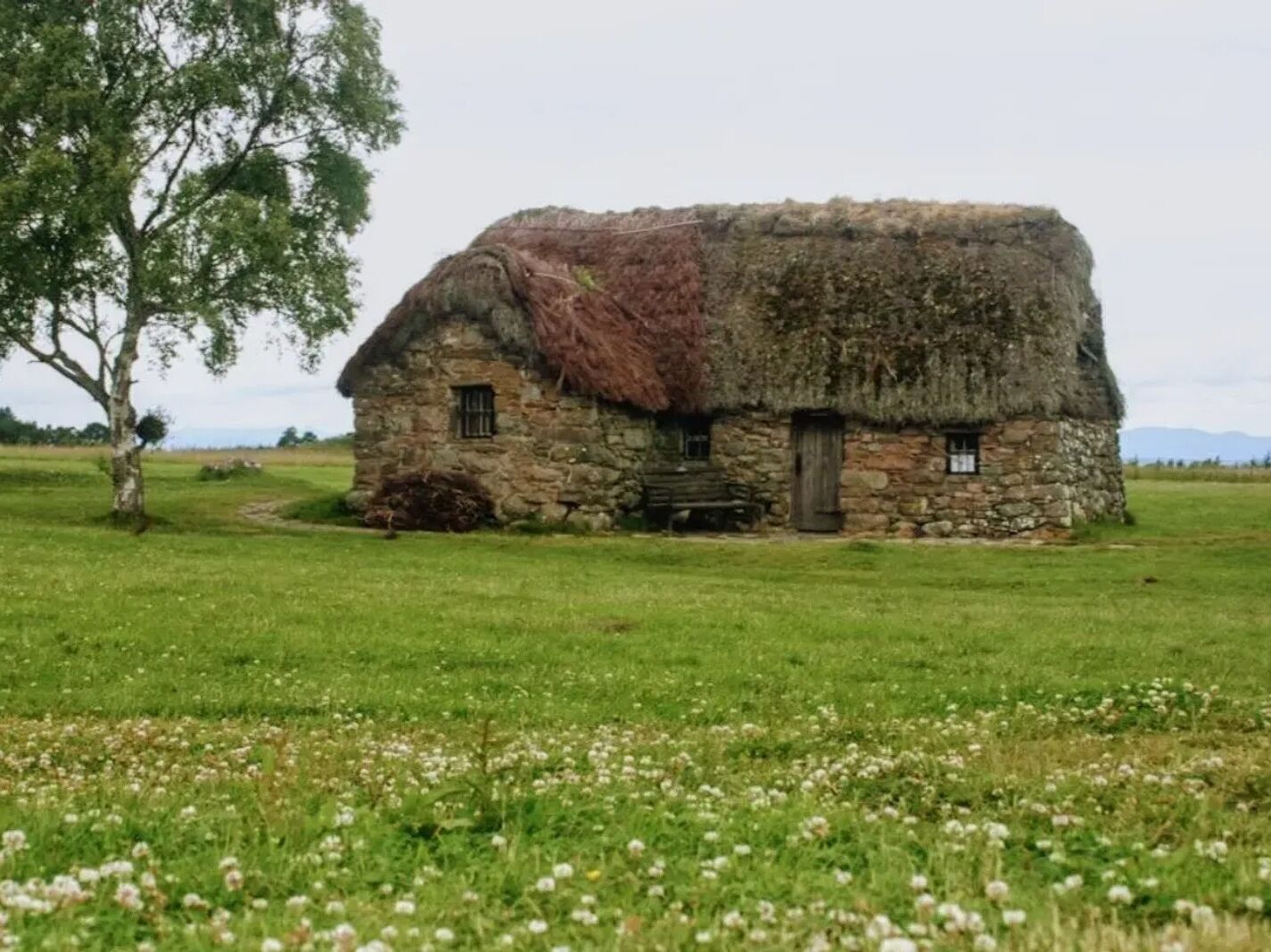 Picture of Culloden Battlefield