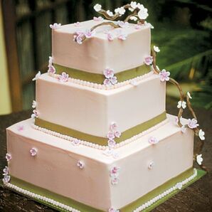The Cake