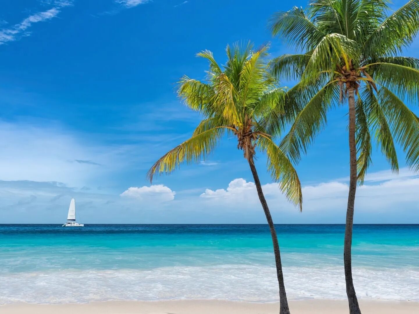Picture of The Beach 