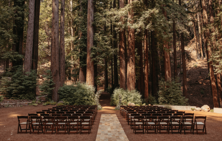 Olivia Rose & Mason Sargent Home Page Banner