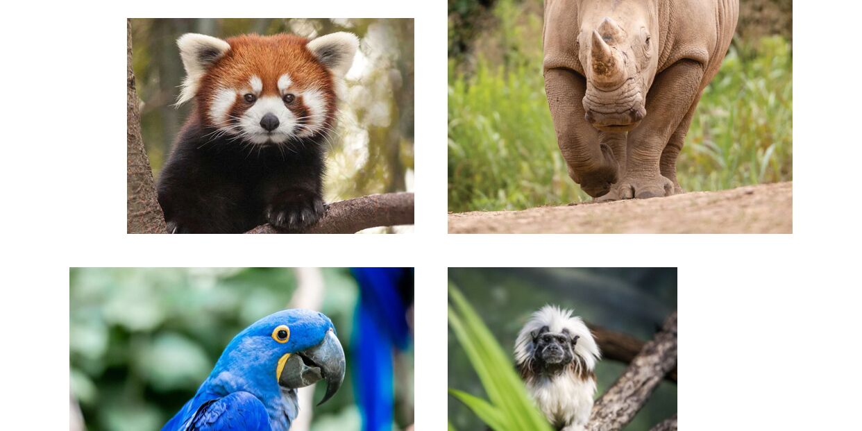 Picture of Nashville Zoo