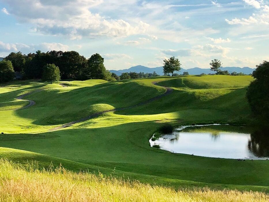 Picture of Reems Creek Golf Club
