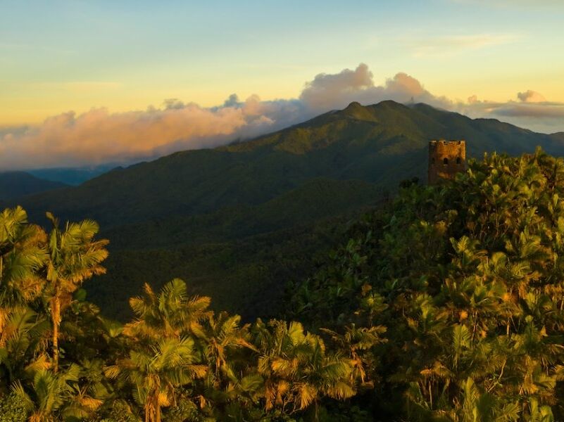 Picture of El Yunque National Forest