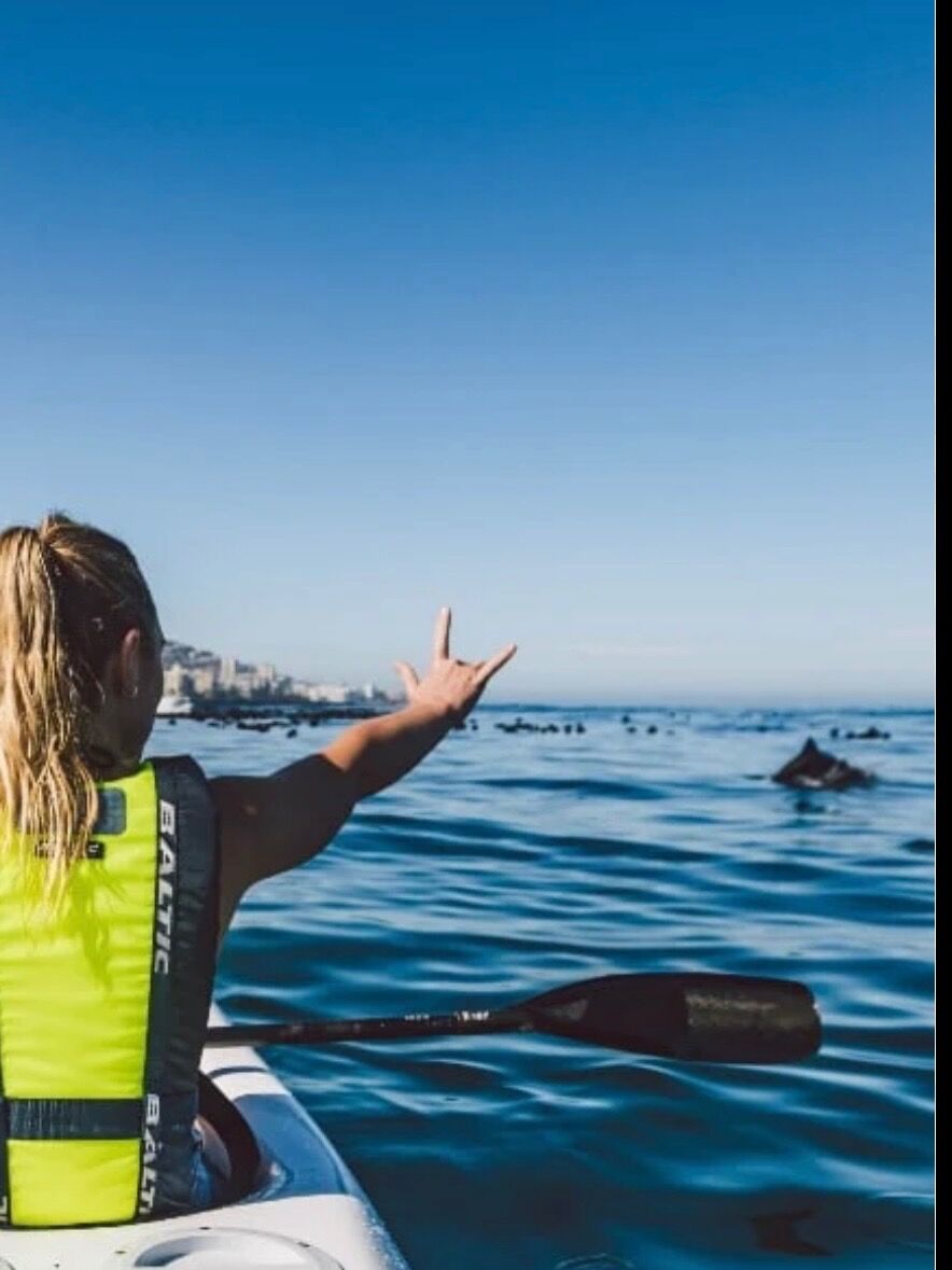 Picture of Kayaking with Dolphins