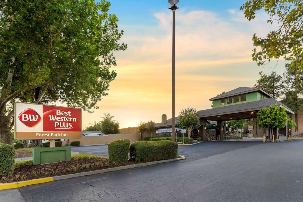 Picture of Best Western Plus Forest Park Inn