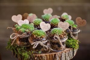 Potted Succulent Wedding Favor