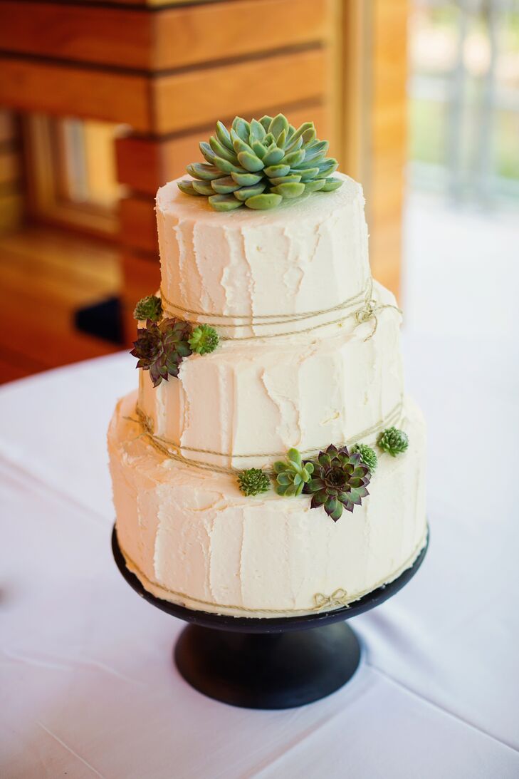 A single succulent topped Alyssa and Andrew's three tier, buttercream cake courtesy of The Cakabakery.