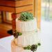 A single succulent topped Alyssa and Andrew's three tier, buttercream cake courtesy of The Cakabakery.