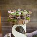 Potted Succulent Wedding Favors