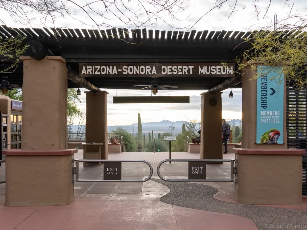 Picture of Arizona-Sonora Desert Museum