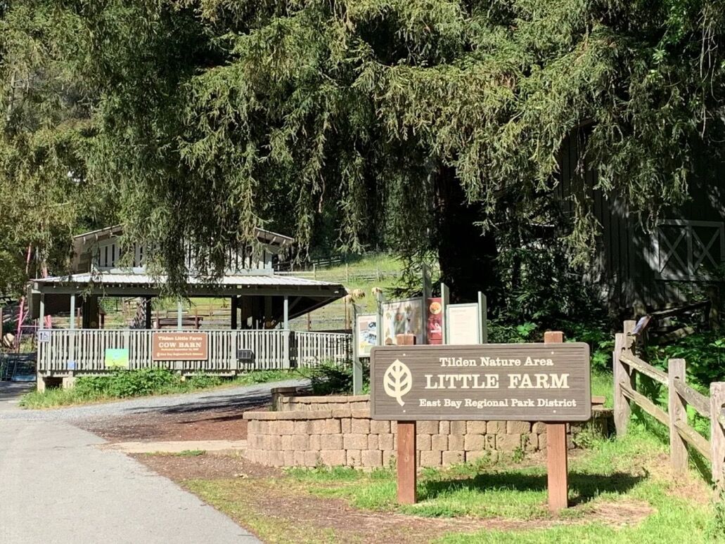 Picture of Tilden Little Farm