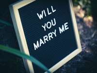 20 Marriage Proposal Decorations        
