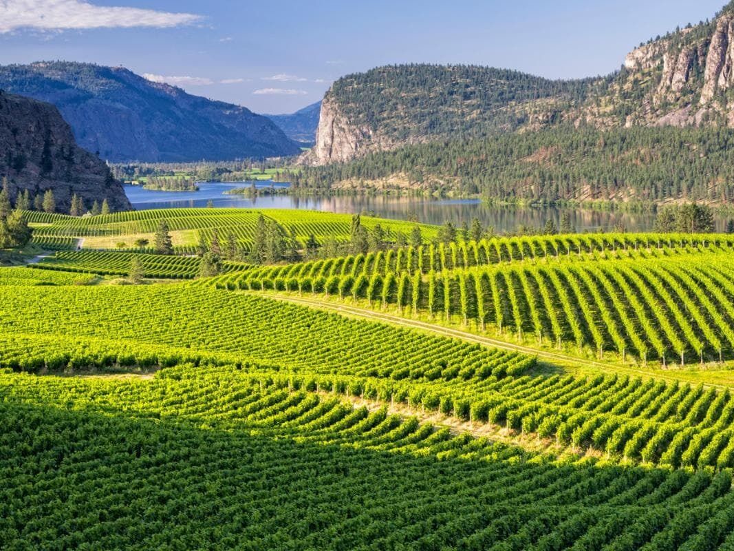 Picture of Okanagan Valley