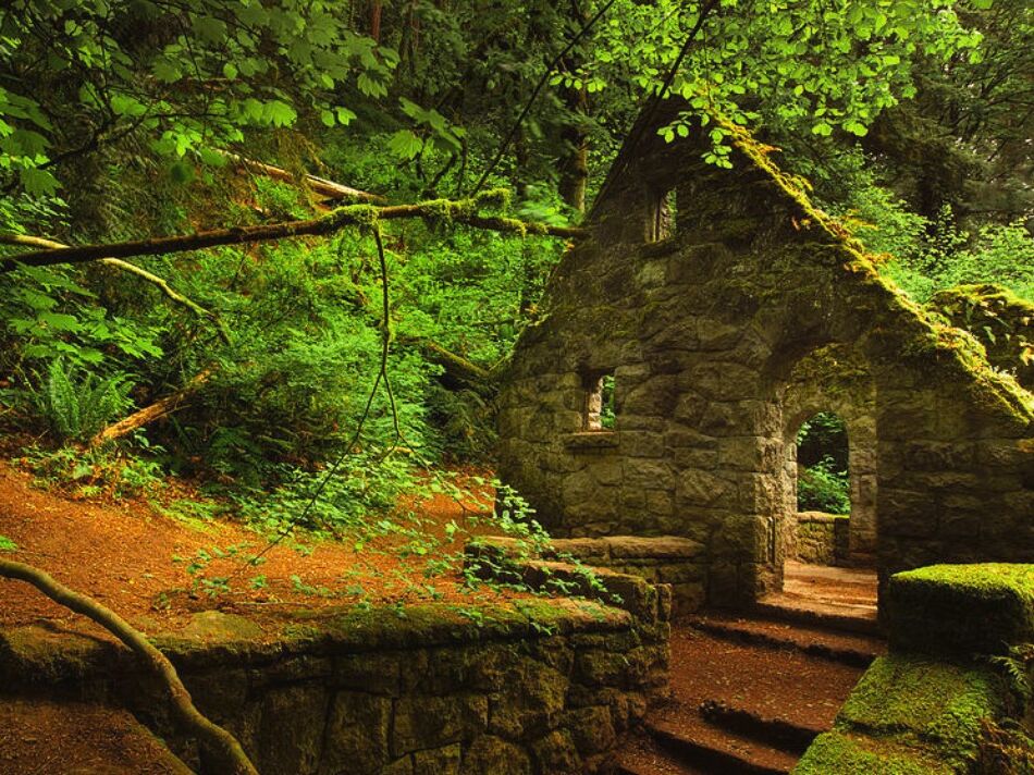 Picture of Witch's Castle