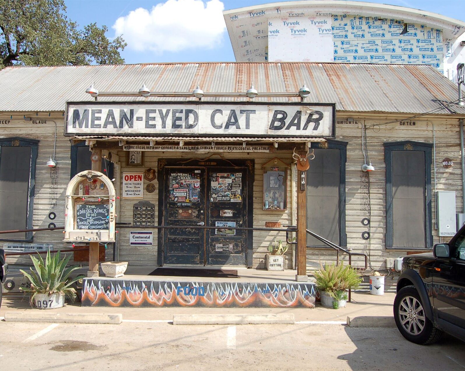 Picture of Mean Eyed Cat