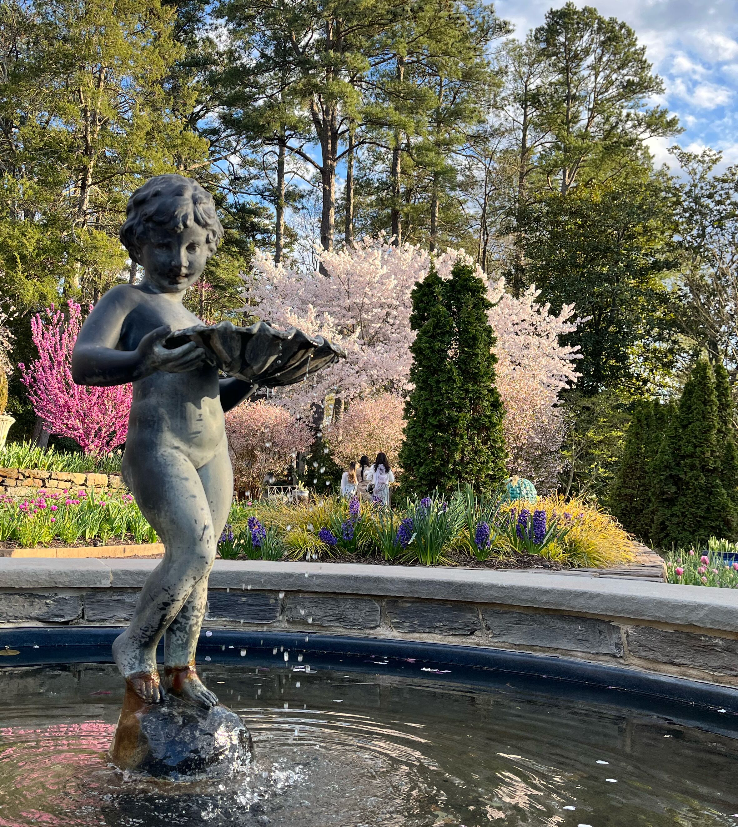 Picture of Duke Gardens