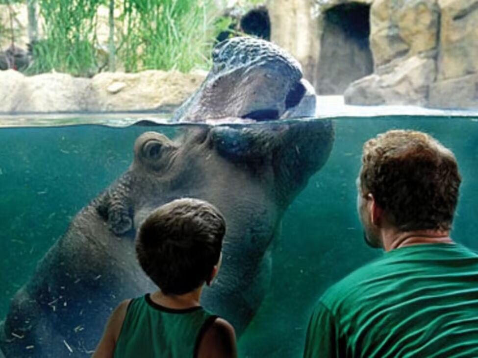 Picture of Cincinnati Zoo & Botanical Garden