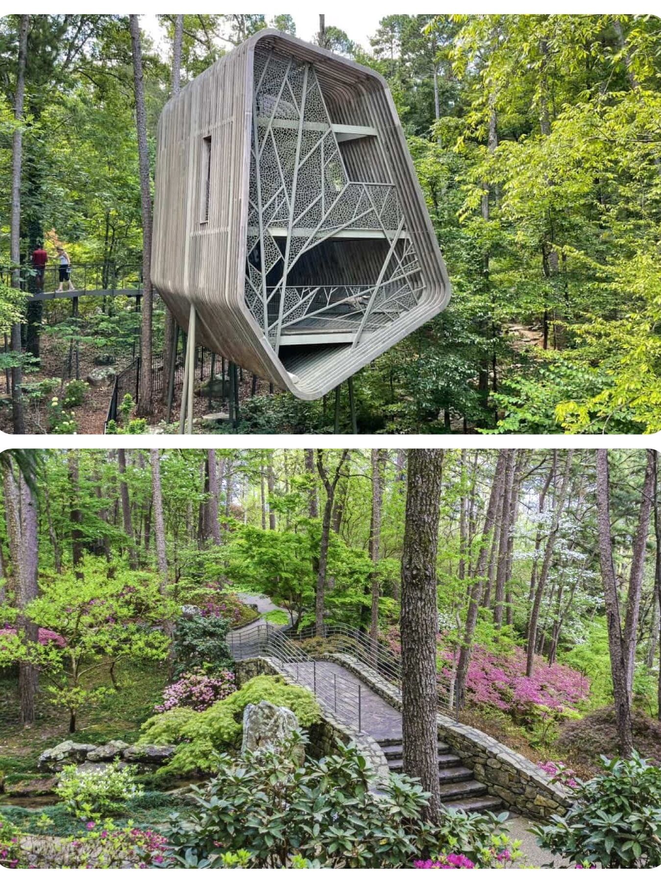 Picture of Garvan Woodland Gardens Childrens Garden Treehouse