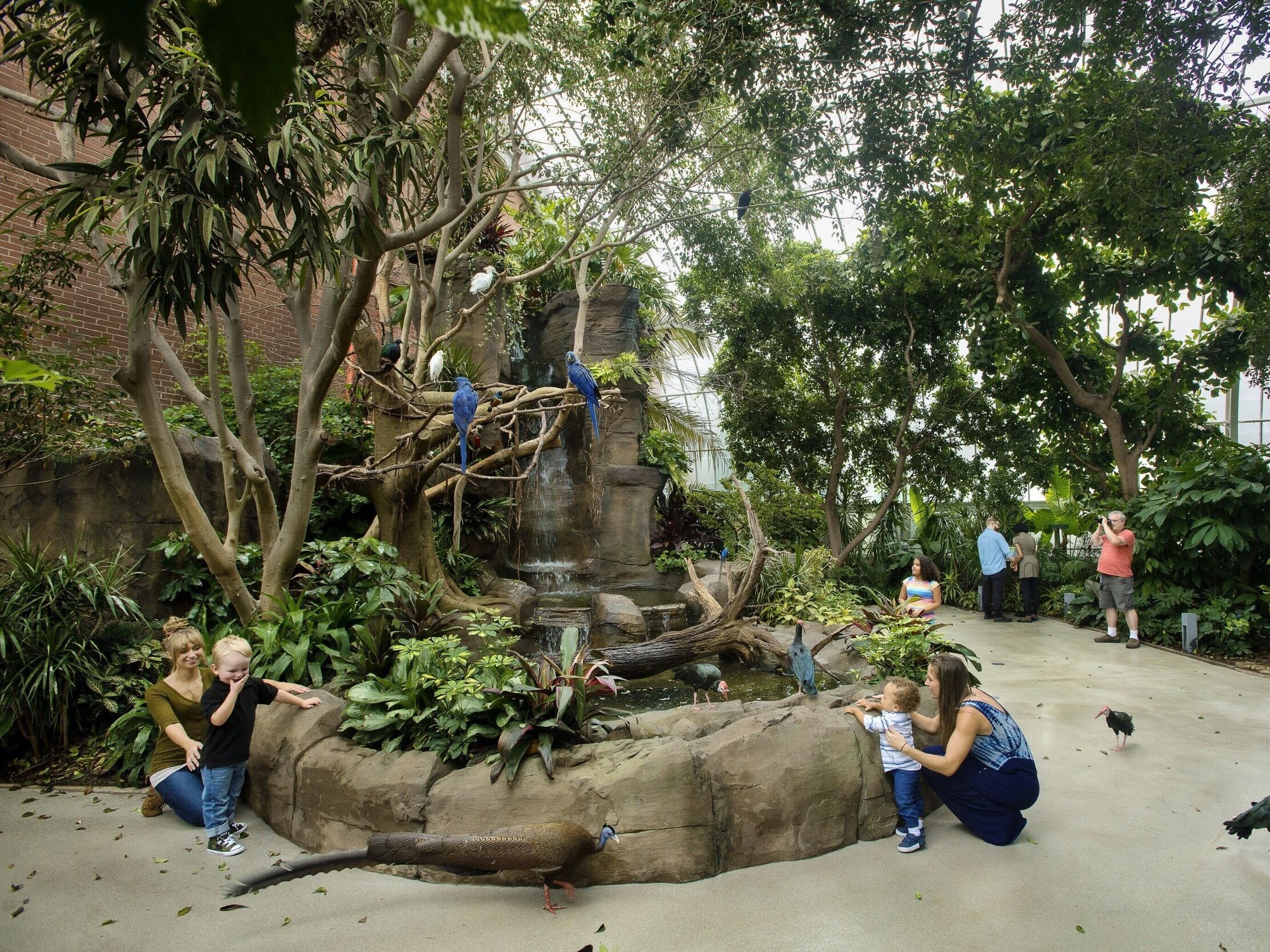 Picture of National Aviary