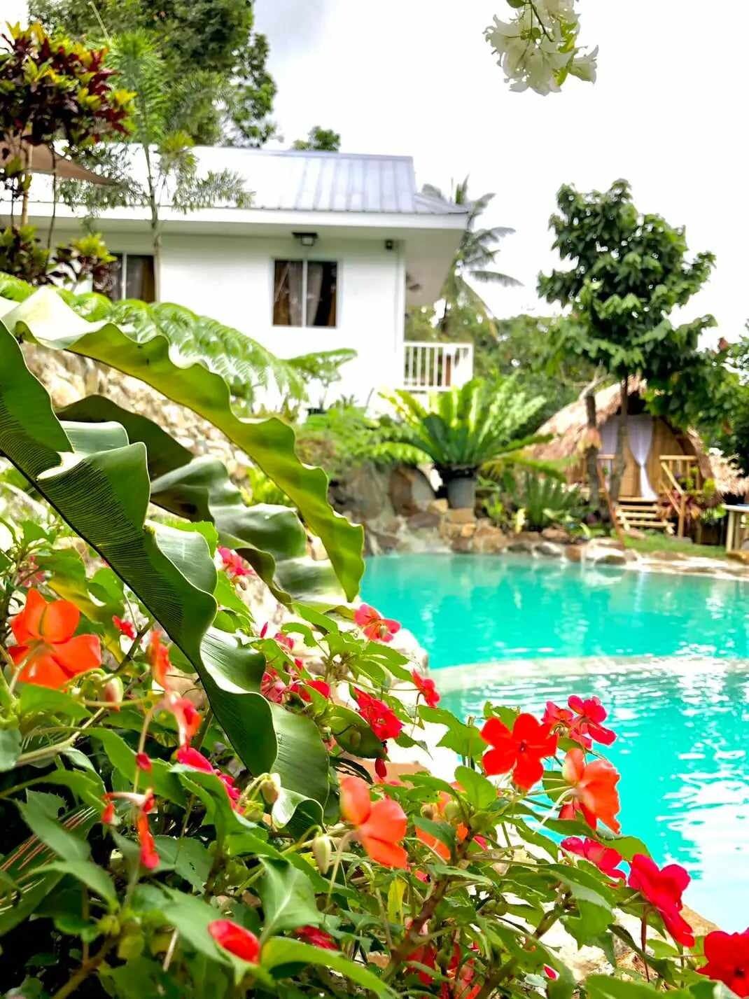 Picture of Villa Encantadia DSB