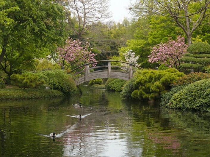 Picture of Fort Worth Botanic Garden