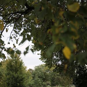 Gallery Photo 8