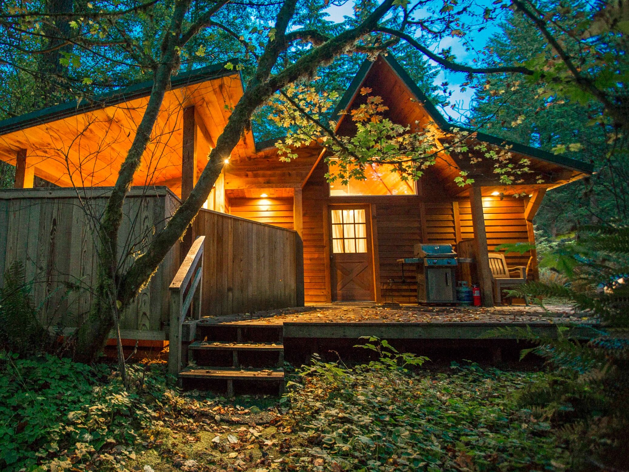 Picture of Almost Paradise Lodging at Mt. Rainier