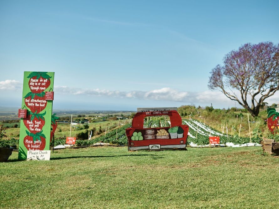 Picture of Kula Country Farms