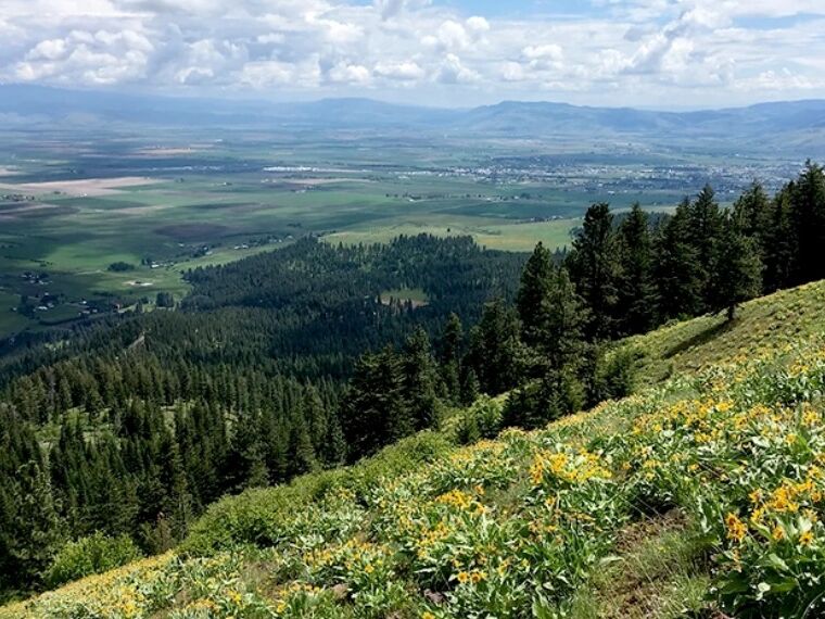Picture of Mount Emily Recreation Area 