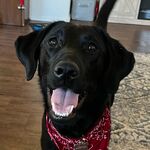 Minnie Mae
