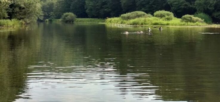 Picture of Tuscarora State Park