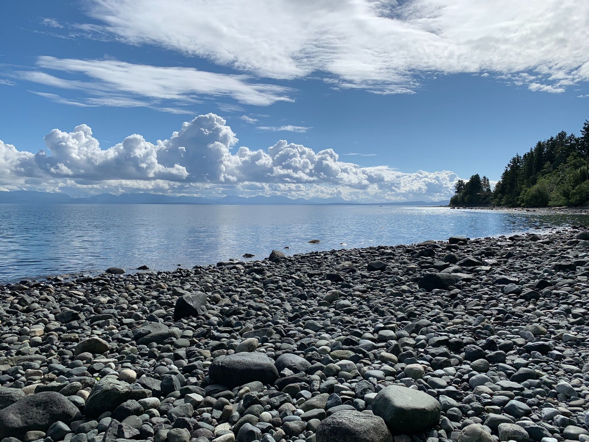 Picture of Seal Bay Nature Park