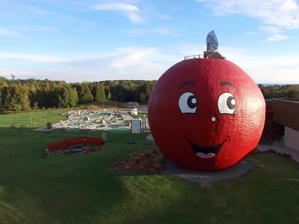 Picture of The Big Apple