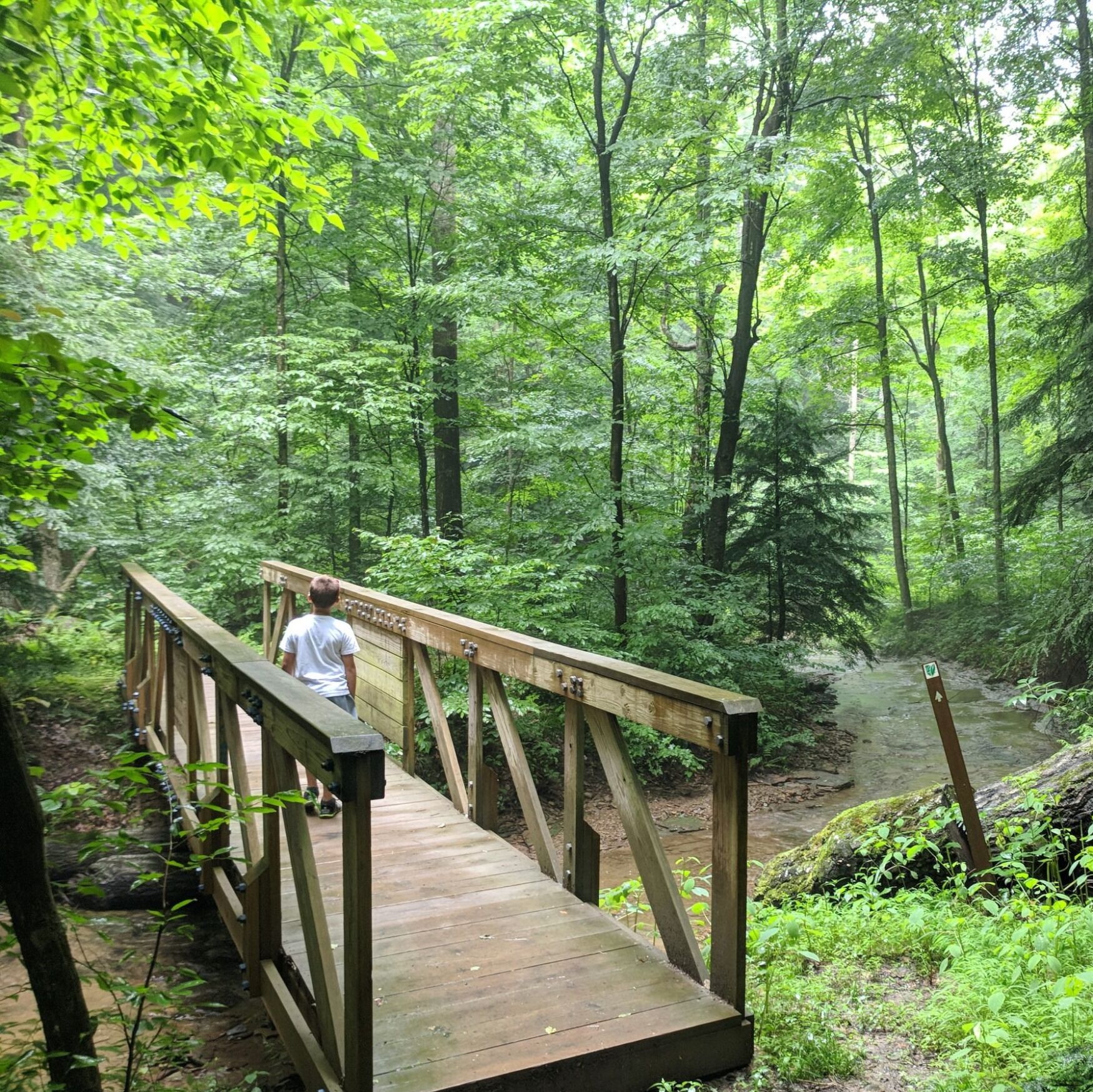 Picture of Mohican State Park