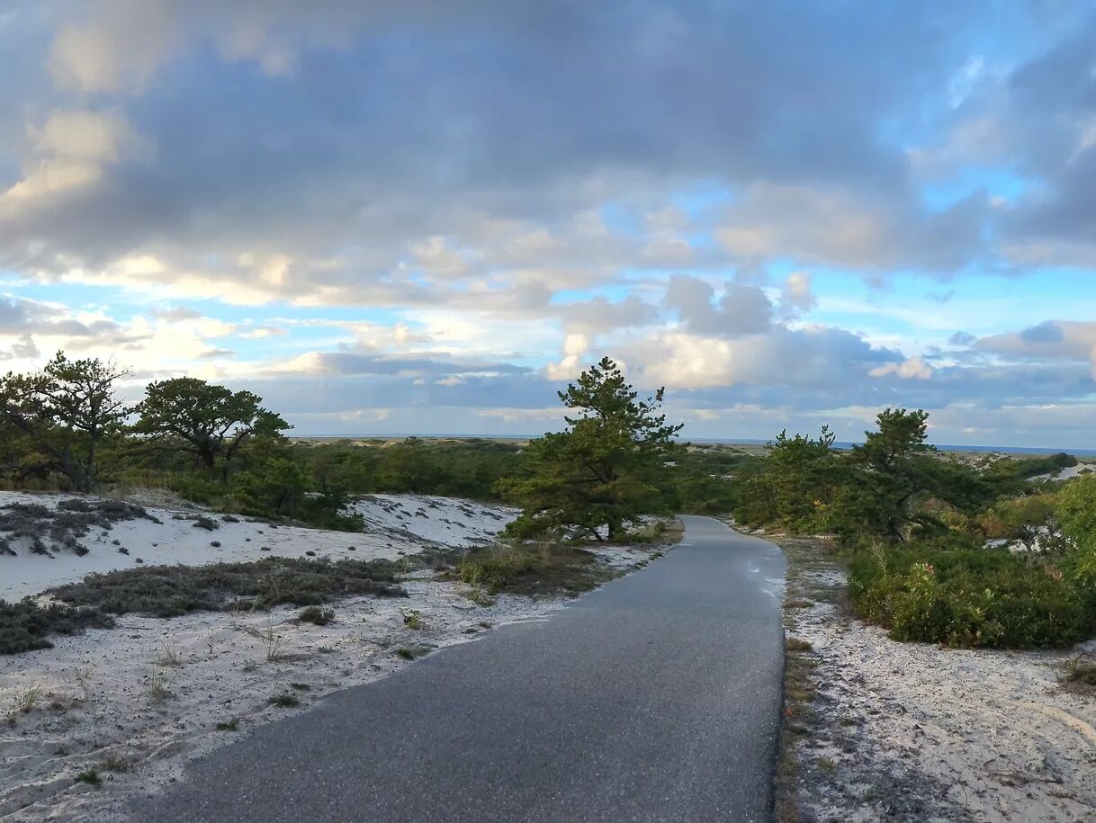 Picture of Province Lands Trails