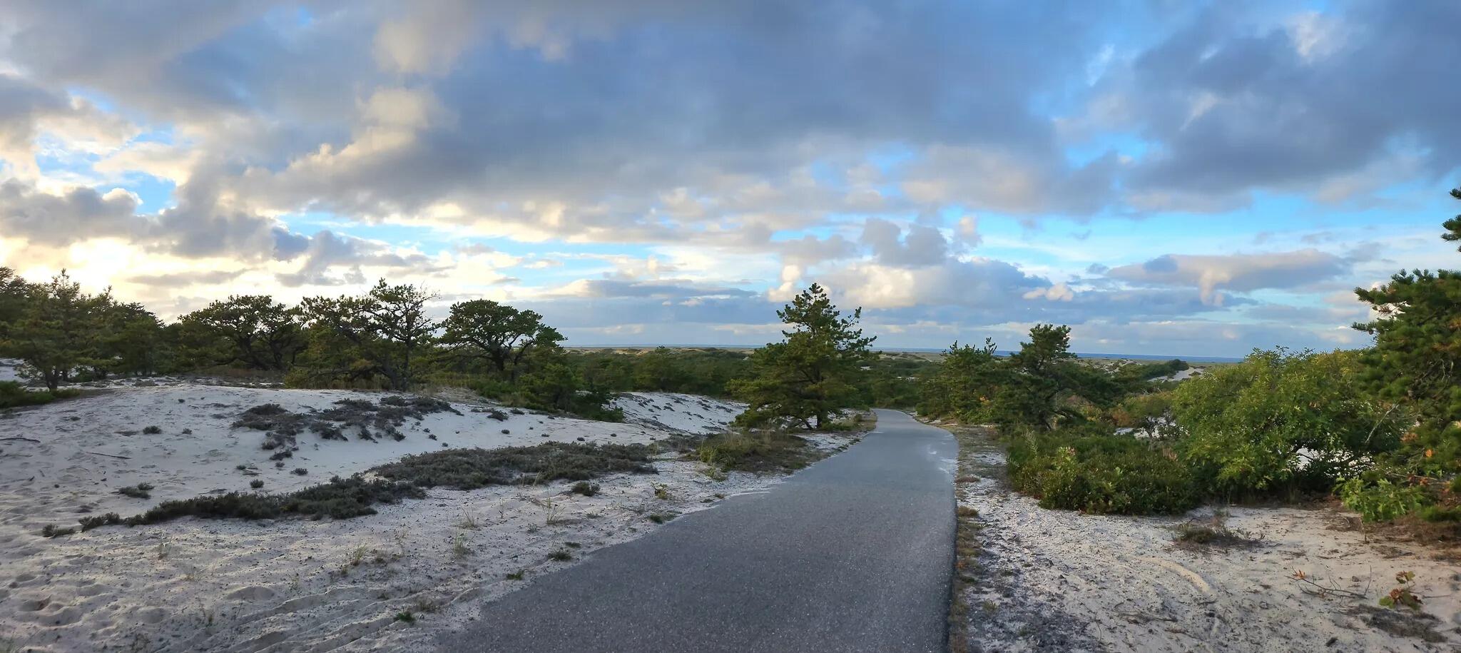 Picture of Province Lands Trails