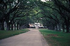 Picture of Boone Hall Plantation & Gardens