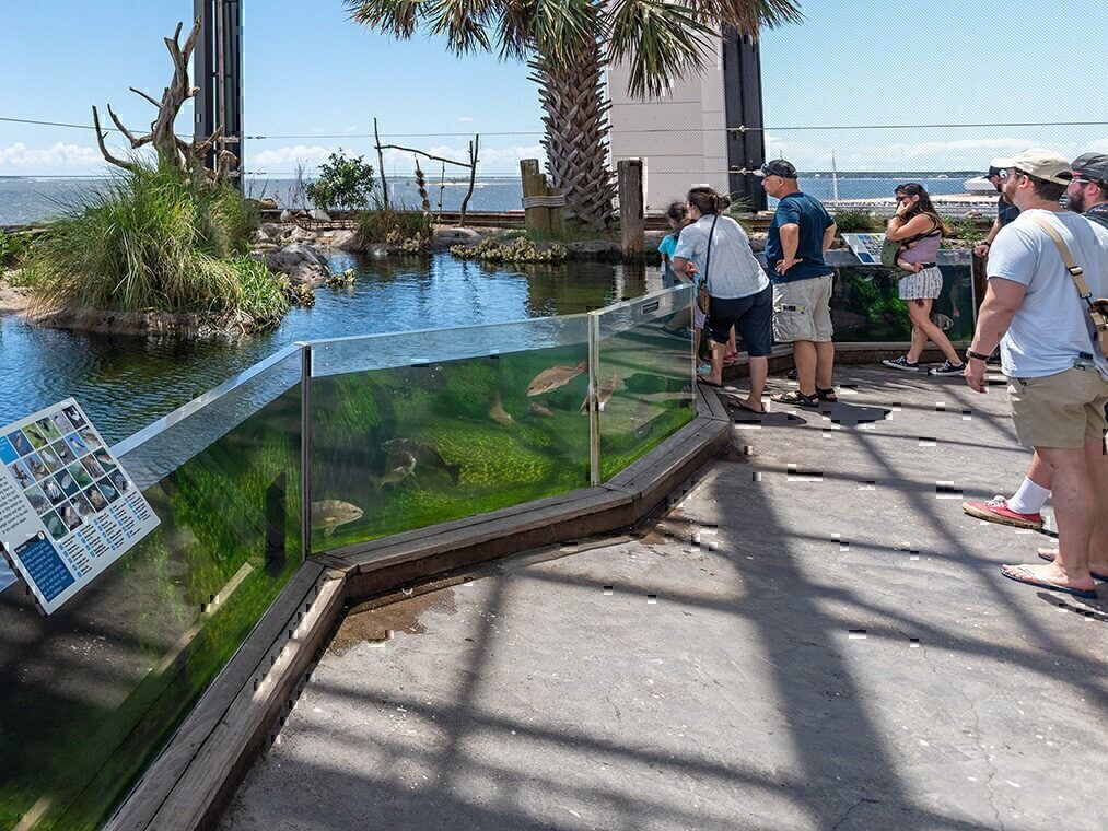 Picture of South Carolina Aquarium
