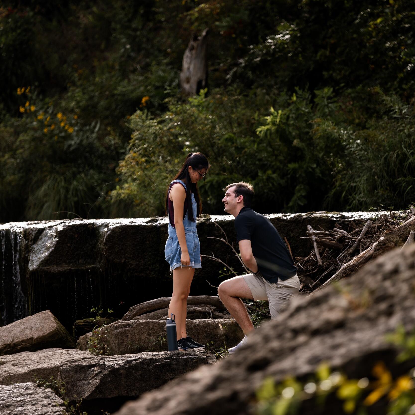 Picture of The Proposal
