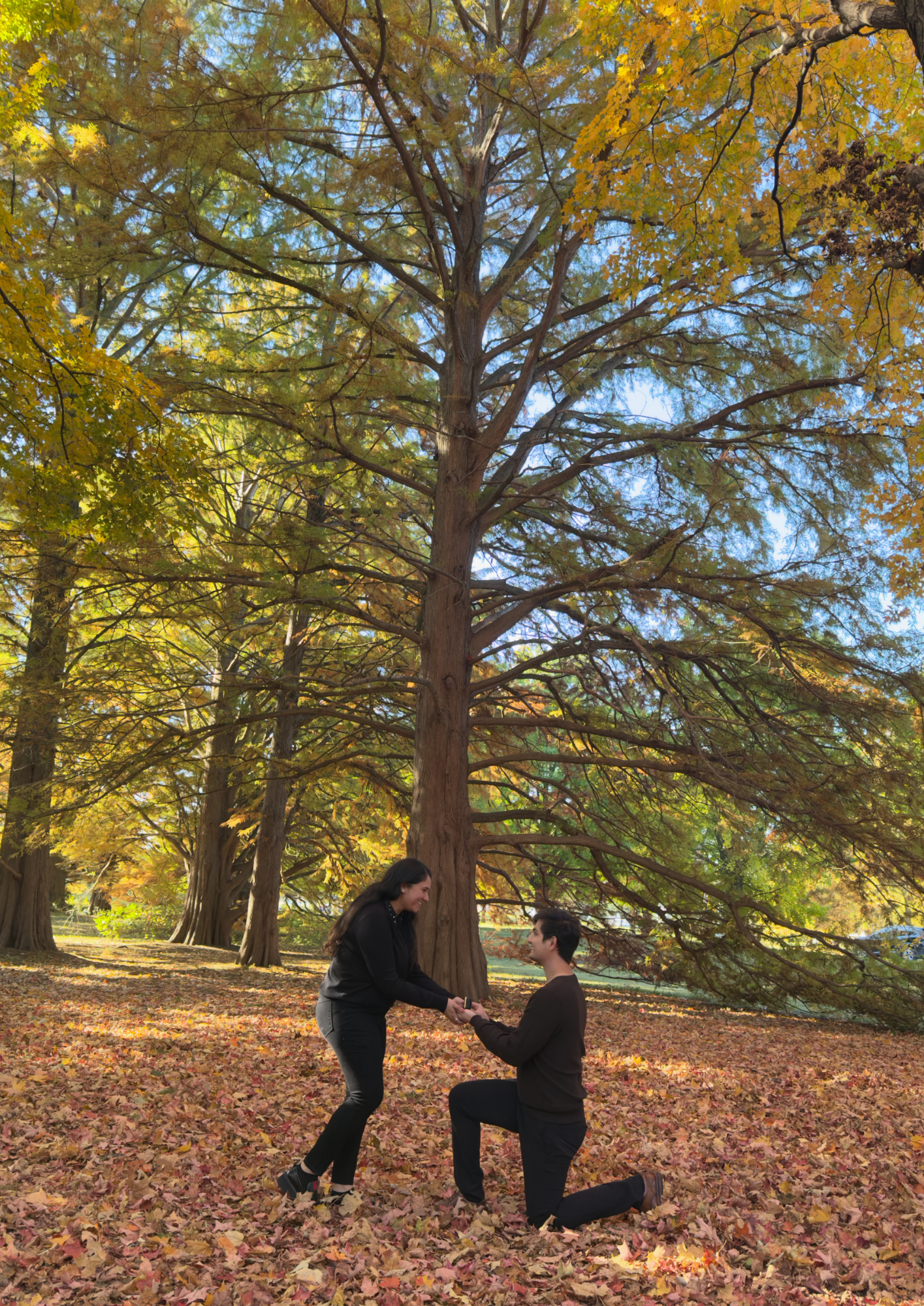 It happened, we're engaged! 