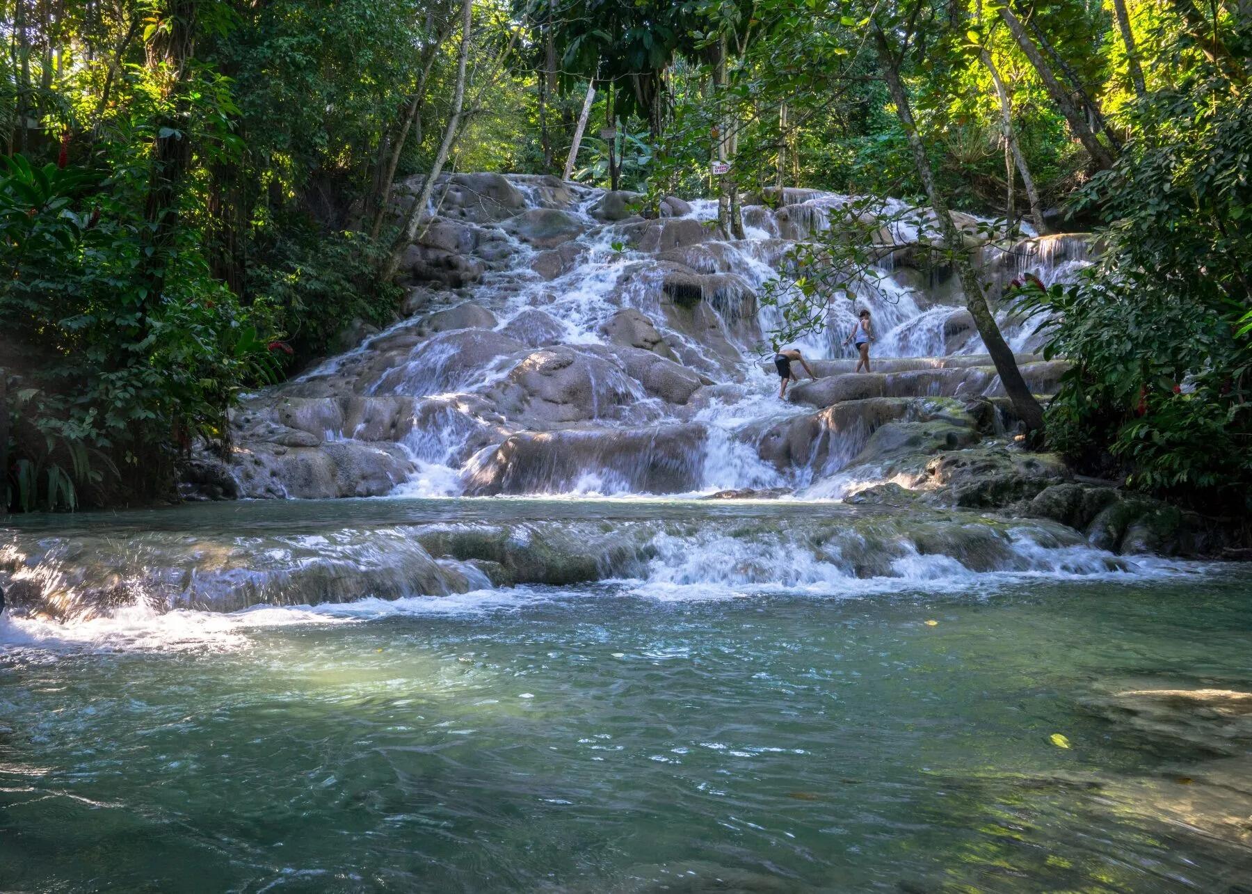 Picture of The World Famous Dunn's River Falls & Park