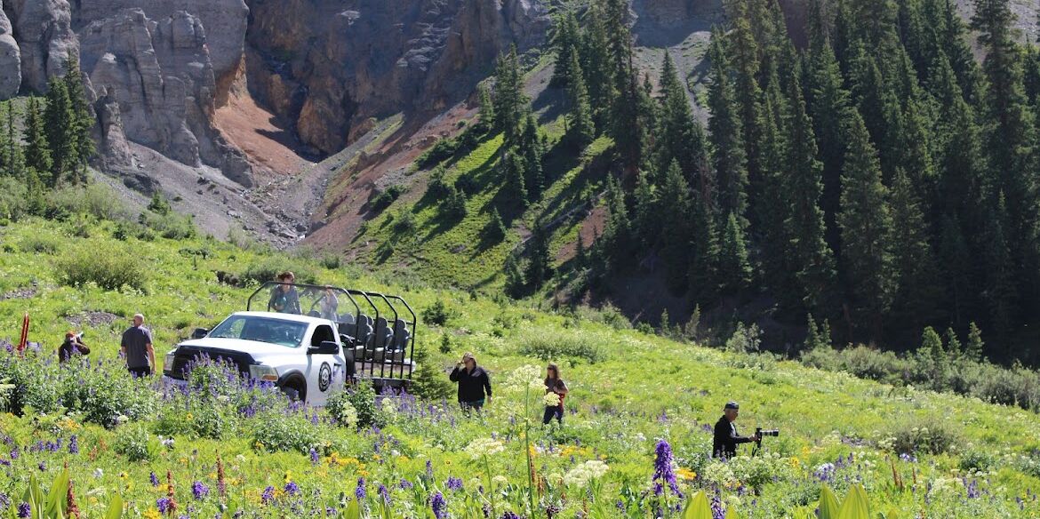 Picture of Alpine Scenic 4x4 Tours
